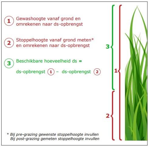 Wat is nou een weidesnede van ongeveer 1.500 kg DS/ha. En hoe meten we dit? Aan de hand van de grashoogte (in cm) kun je schatten hoeveel kg DS gras er in een perceel staat.