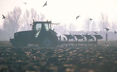 Uniek landschapspark Domein in de kijker de Vallei van de Koude beek van Borsbeek Wie wel eens van Wijnegem naar Mortsel rijdt of omgekeerd, die kan er niet naast kijken.