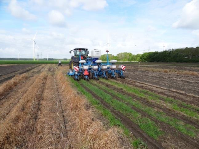 Vanggewassen 2015: op 23 maart 2016 werden het percentage grondbedekking en de gewashoogte geschat.