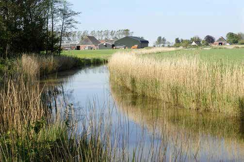 21 Grondwaterpeil in veenweidegebieden handhaven Voor de aanwezige archeologie in veenweidegebieden is het belangrijk dat de grondwaterspiegel gehandhaafd blijft.