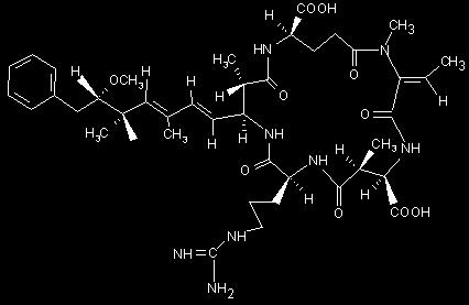 Hepatotoxines microcystines, nodularines, cylindrospermopsines Cyclisch heptapeptide pentapeptide (5) CH 3 H 3 C H H 3 C CH 3 H 2 H (6) H (4) CH H H