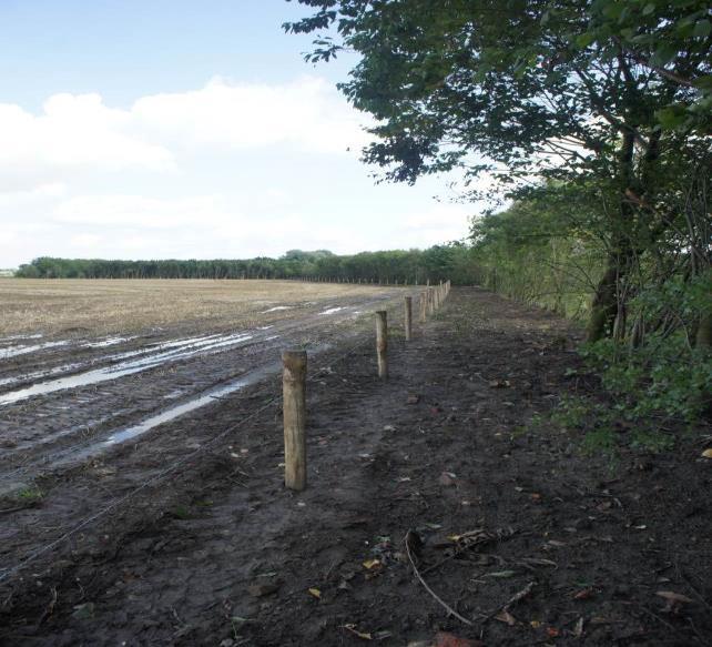 Steenpuinfundering ingepakt met geotextiel (stabiliteit!).