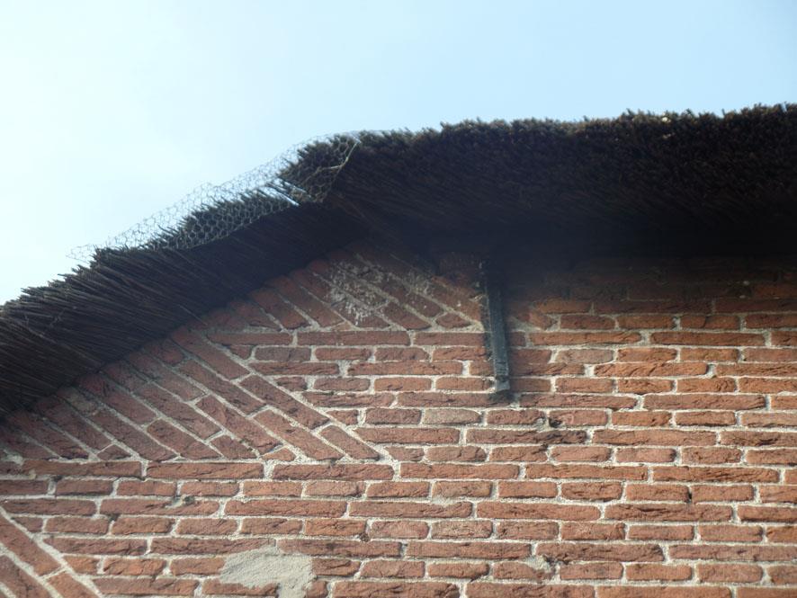 Daarnaast zijn er geen sporen aangetroffen die wijzen op de aanwezigheid van vleermuizen. Verblijfplaatsen voor vleermuizen in deze stal kunnen worden uitgesloten.