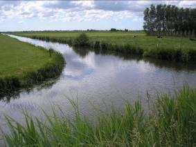 3. Natuurvriendelijke oevers, oevertypen in Rijnland In Rijnland zijn in de afgelopen jaren veel natuurvriendelijke oevers aangelegd, zowel door Rijnland als door andere partijen.