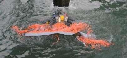 Hula s in the harbour of Rotterdam Monitoring shows that