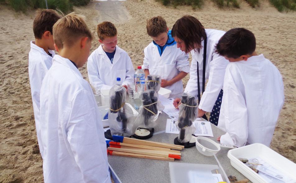 groep 5 t/m 8 leerkracht en/of ouders maximaal 30 leerlingen 2 uur het strand gehele jaar 27,50 voor gebruik van Strand-Lab.