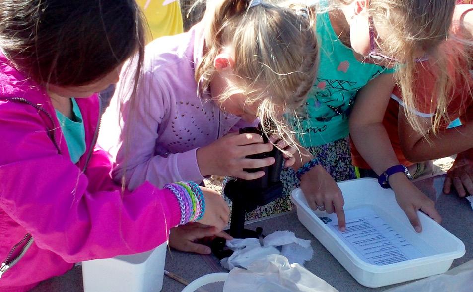 Strand Lab Zonder zand is er geen strand, maar wat is zand eigenlijk? Hoe eet een zeepok? Hoeveel zout zit er in 1 liter zeewater? Wie eet plastic? Heeft de zee last van verzuring?