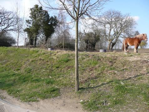 Keesenstraat en achterin de vermelde vierkantshoeve eerder een hinder.