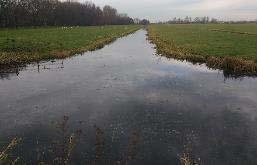 PZH heeft het recreatiegebied Steinse Groen aangewezen als een EVZ die het Natura 2000-gebied verbindt