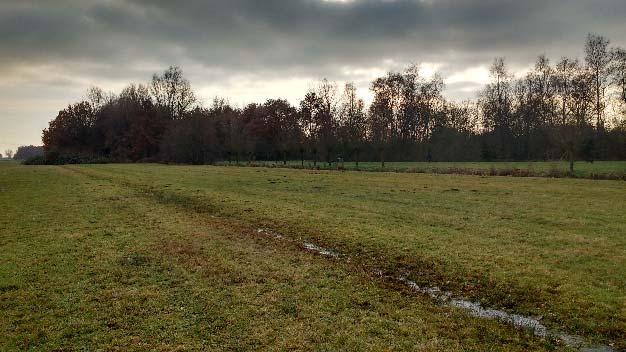 voor doelsoorten. Bij uitvoering van de werkzaamheden in het terrein komt organisch materiaal (takhout, grond, bladhopen, mossen etc.) vrij. Hiervan worden extra broeihopen gemaakt voor de ringslang.