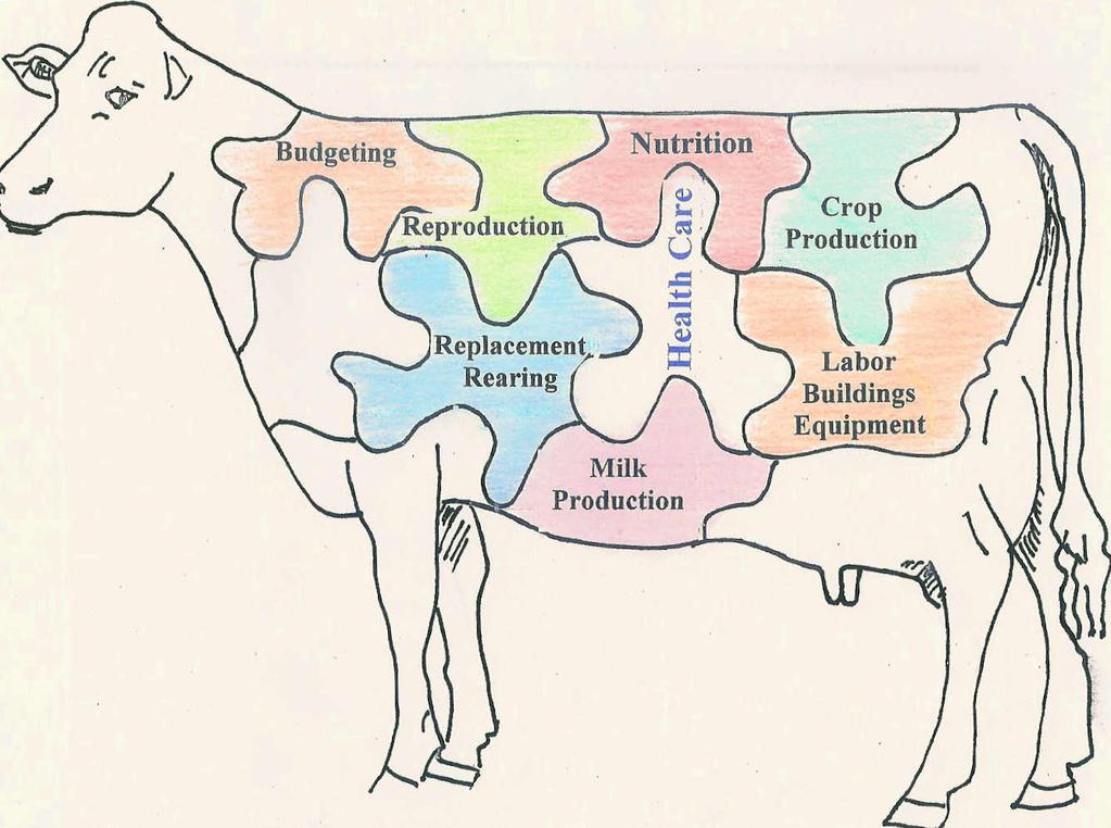 Inside-outside benadering. Vanuit de fysiologie van de koe worden de processen op het melkveebedrijf geanalyseerd.