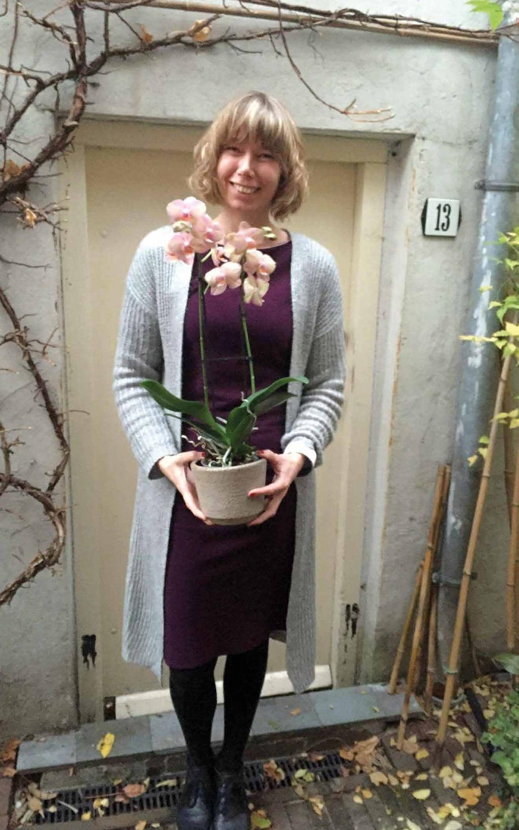 Mooie planten in huis zorgen ervoor