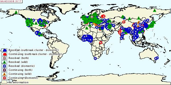 Overzicht Avian Influenza