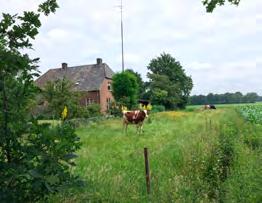 project gestart: ErvenPlus. Het doel van dit project is om voor 2019, 350 Brabantse erven biodiverser in te richten.