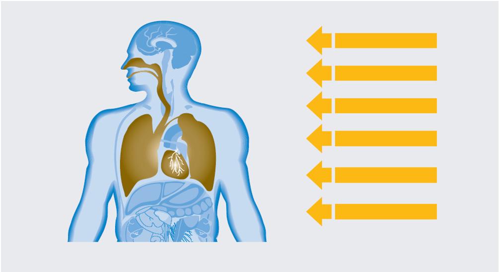 Mogelijke beroepsziekten stoflongen luchtweginfectie asbestvergiftiging astma