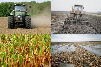 Klimaat, water en landbouw Waterhuishouding en landbouwopbrengsten