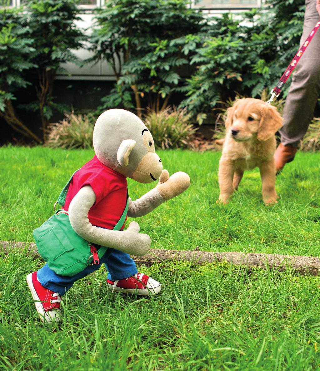 AAPJE PIPPO EN DE HOND Aapje Pippo komt in het park een jonge hond tegen. De twee zijn nieuwsgierig naar elkaar en willen spelen. Aapje Pippo gooit een bal weg. De hond haalt hem op en.