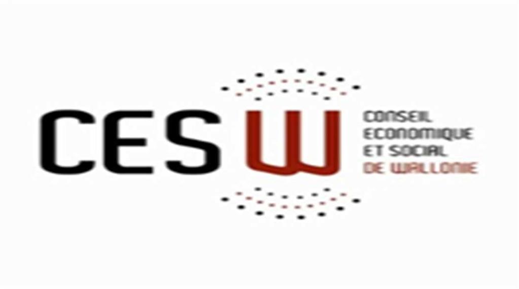 de Economische en Sociale Raden van Brussel