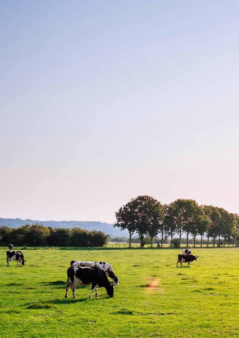 3 In hoofdstuk 4 zijn de ambities, opgaven en uitdagingen van het Land van Cuijk benoemd. In deze bijlage beschrijven we per gemeente de belangrijkste ambities, opgaven en uitdagingen.