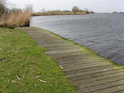 Tijdens het zwemseizoen wordt een ponton met een zwemtrapje tegen de steiger afgemeerd. De zwemlocatie is gelegen aan de Plasdijk. De brede berm aan de polderzijde is als ligweide ingericht.