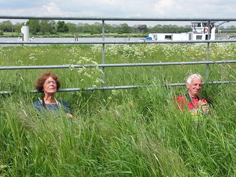 Een echte vogelwerkgroep weet dat meteen zegt Henk als we niet zeker weten of de 2 kleine vogeltjes die luid kwetterend snel achter elkaar van tak naar tak springen, vinken of gekraagde roodstaarten