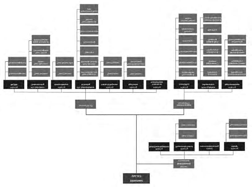 5.2 Organogram van het ssc-ict Hieronder staat het organogram van het ssc-ict, dat tot 15 maart 2016 onderstaande structuur kende.