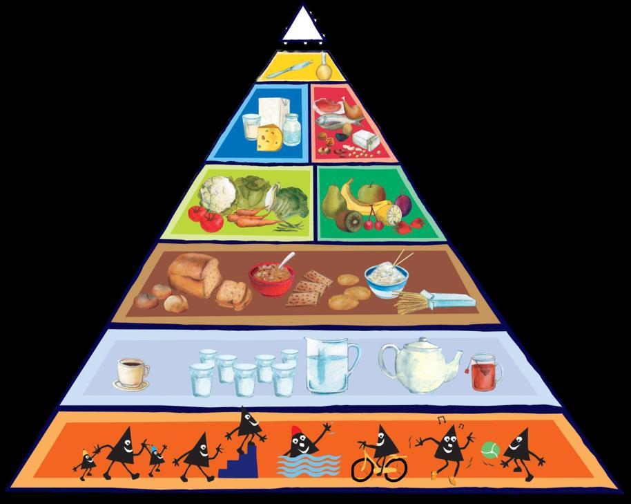 DE ACTIEVE VOEDINGSDRIEHOEK Deze driehoek geeft een idee van wat je dagelijks moet eten om voldoende voedingsstoffen op te nemen die je nodig hebt om gezond te blijven.
