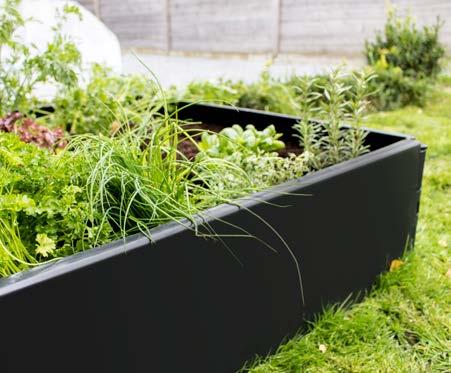 MOESTUIN ESSENTIALS Urban Zelfs met weinig plaats kan je heerlijk moestuinieren.