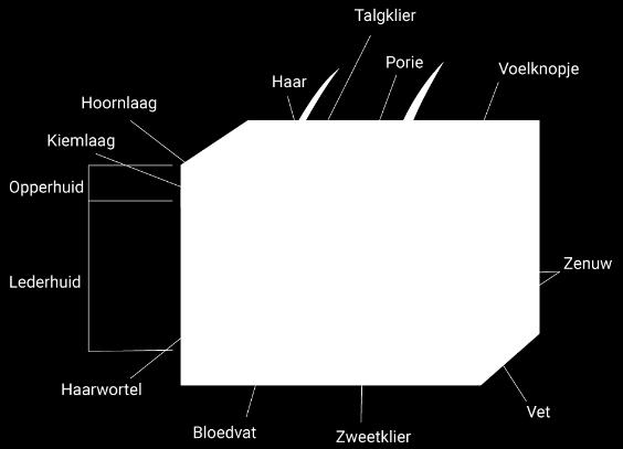 De kinderen maken een weerbericht in groepjes. We gebruiken hiervoor de coöperatieve werkvorm: legpuzzel. De leerlingen zitten in tafelgroepen.