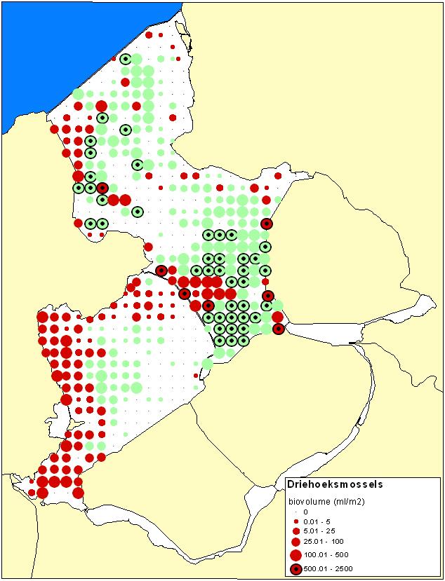 ................................... Figuur 9.7 Verspreiding van de Driehoeksmossel in de drie SBZ s gebaseerd op bemonstering in 1999 (IJsselmeer) en 2000 (Markermeer/IJmeer) in de nazomer en herfst.