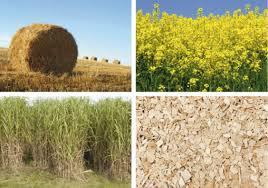 Wat is biomassa In 2015 werd 60-70% van de Nederlandse hernieuwbare energie opgewekt uit biomassa.