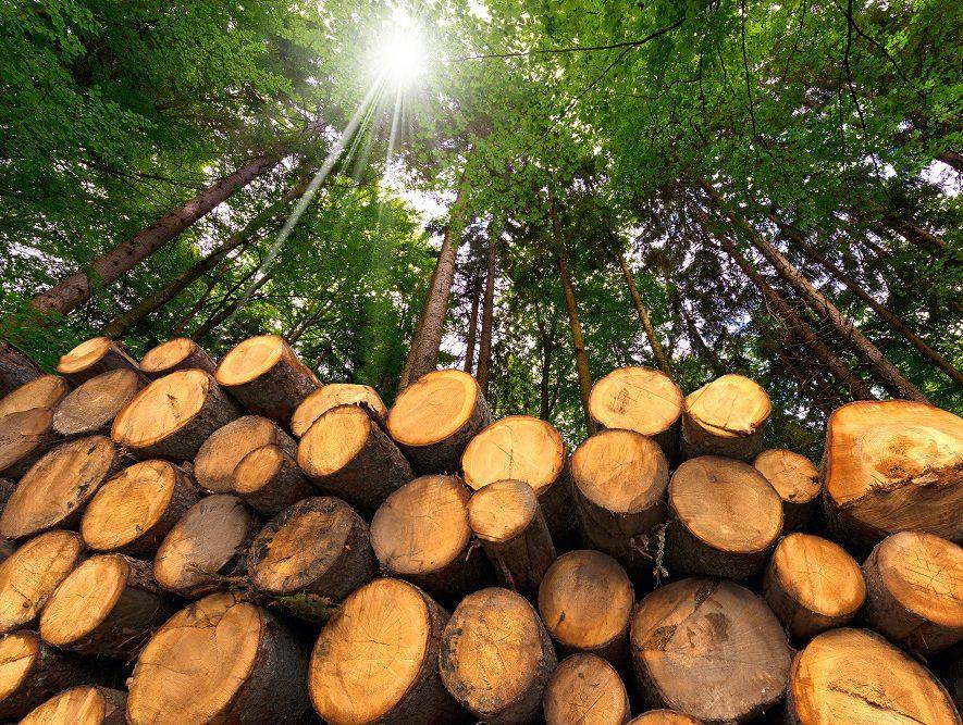 Is biomassa duurzaam? Niet alle biomassa is onder alle omstandigheden duurzaam. Hout is duurzaam als de herkomst hernieuwbaar is.