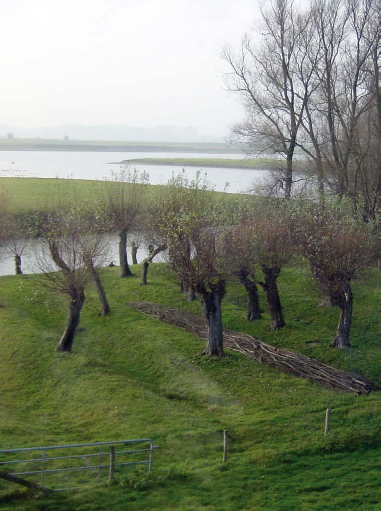 Voorwoord Samen werken aan het landschap Met het Landschapsplan Bommelerwaard en met de samenwerkingsovereenkomst voor reconstructie van de glastuinbouw hebben de gemeenten Zaltbommel en Maasdriel de