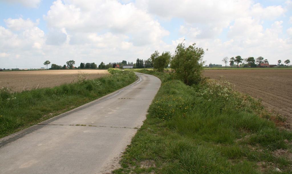 ECOLOGISCH BELANG VAN WEGBERMEN Onbemeste graslanden zijn zeldzaam in Vlaanderen Soortenrijkdom is hoog Goed uitgevoerd