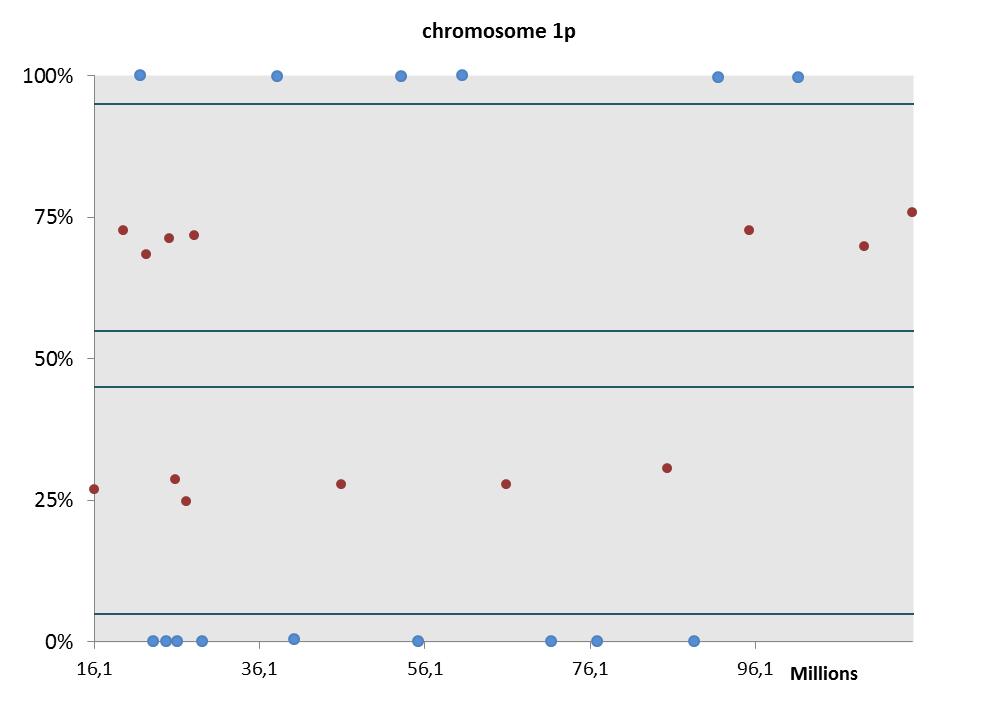 Chromosoom 1p