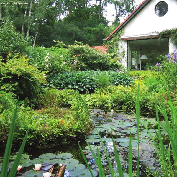 Groen Groen Vergroenen:van tuinde erin tuin Het vergroenen van de tuin is een belangrijke stap in het waterbestendig inrichten van de tuin.