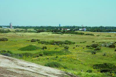 ingenomen door Duindoornstruweel (H2160). De zeereep, onderdeel van het habitattype Witte duinen, herbergt veel Blauwe zeedistel (Eryngium maritimum) en hier en daar Zeekool (Crambe maritima).