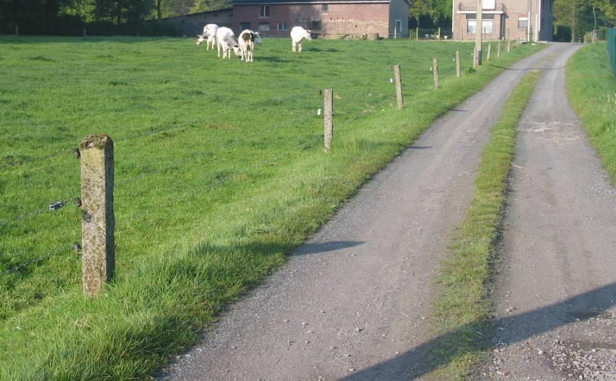 WLIx WLI7 geconstrueerde rand onverharde weg / rijspoor meetcriteria elke rand van een onverharde weg of