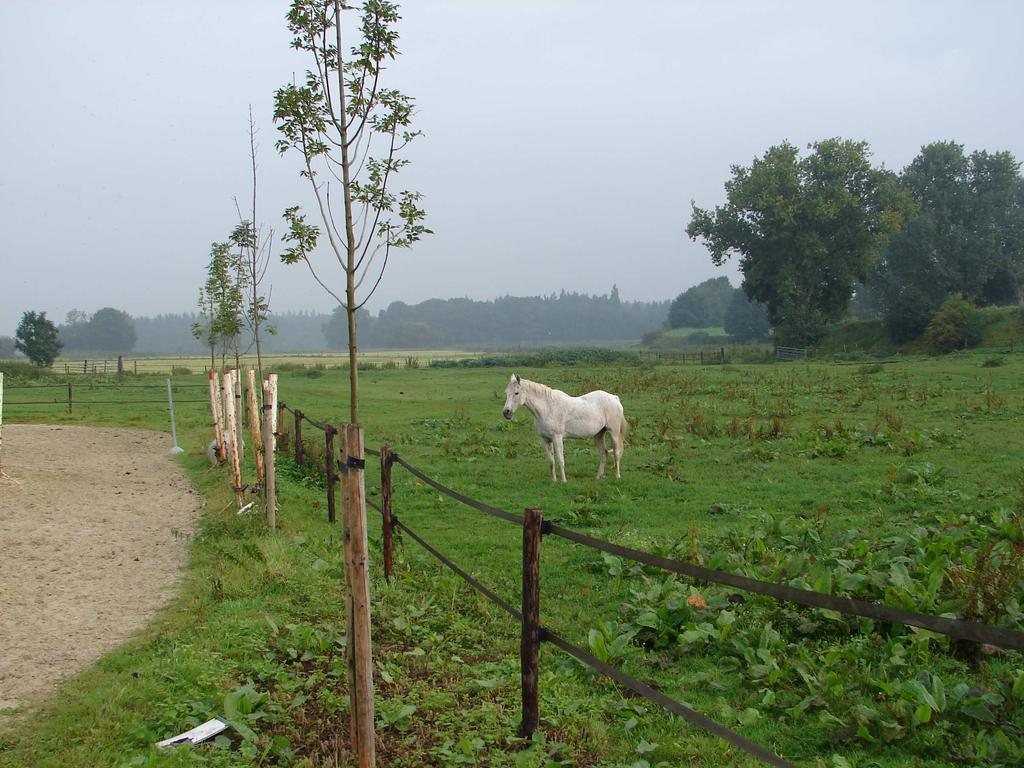 Achtergrond van het contourenbeleid Tot 24 juni 2005 waren alleen in Zuid-Limburg contouren getrokken rond de kernen en dorpen. Noord- en Midden-Limburg hadden geen contouren.