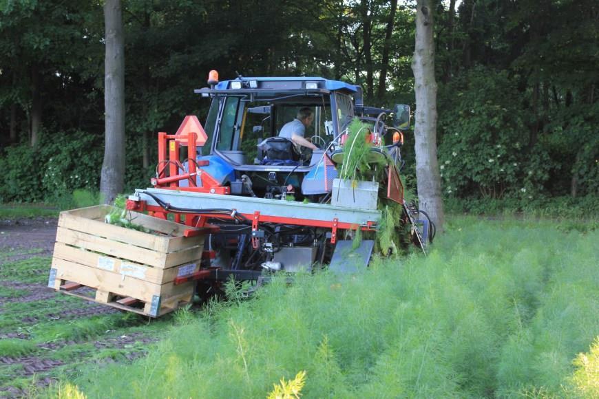 GMO: nieuwe acties Plantmachines: uitbreiding knolselder en courgettes Aanpassen