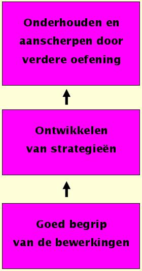 Instructie waarin de strategiekeuze aan de leerling wordt overgelaten leidt niet tot flexibel strategiegebruik.