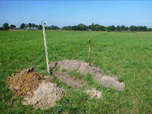 In een enkele profielkuil is de scheiding tussen beide lagen erg sterk. Hier is het zand geler in verband met stagnatie van regenwater.