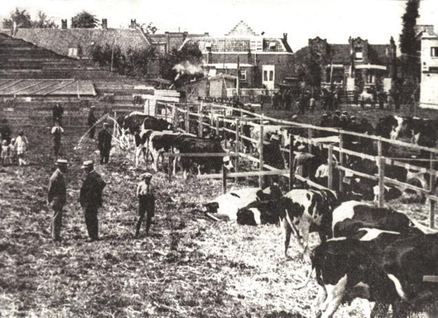 oude boerendorp dat Diemen ooit was, is helaas niet zo heel veel meer over. Ooit telde Diemen zo n vijftig boerderijen, nu nog maar een of twee. Waar eens koeien graasden staan nu allerlei woonwijken.