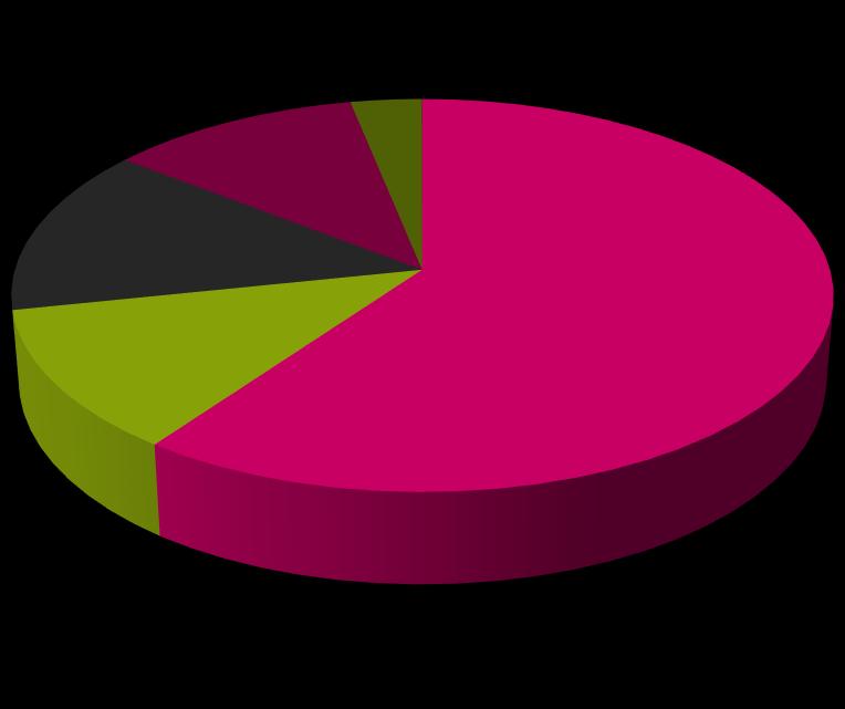 Horecasector in Vlaanderen 100.