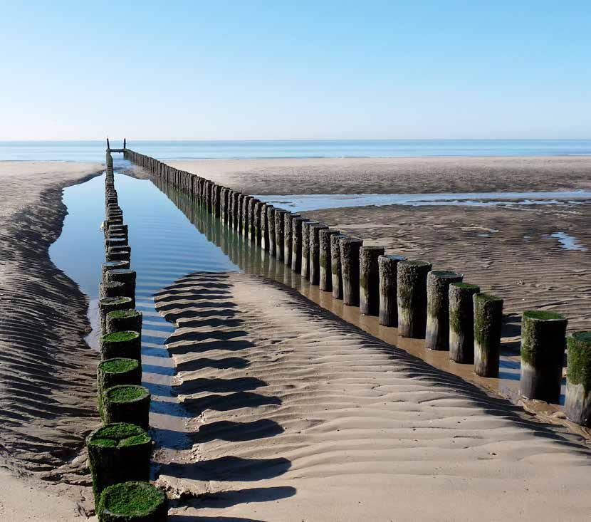 met hindernissen en moet hij op weg gaan... Iedereen heeft zijn eigen rouwlandschap, de landkaart ziet er bij iedereen anders uit.