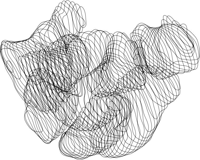 SAMENVATTING Figuur 62: Na herhaaldelijke toepassing van het snakealgorithme is voor ieder botje een stapel contouren gedetecteerd die tezamen een ruimtelijke beschrijving geven van de botgeometrie.