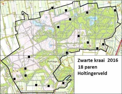 Menigmaal kreeg je bijkans een hartaanval als een in de vegetatie verscholen fazant met veel kabaal vlak voor je voeten opvloog.