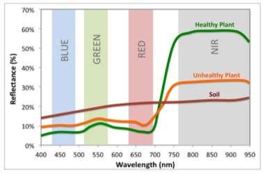 Onkruiddetectie Ziektedetectie Water status NDVI = (R800