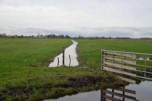 veenweidegebieden Drooglegging maximaal 60 cm (landbouw) tussen 15 en 35 cm (natuur) praktijk 20-40 cm Peilafwijkingen