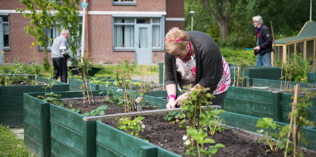 WEKELIJKSE ACTIVITEITEN VRIJDAG Start van de dag 09.30-10.30 uur De Hofvijver Onder het genot van een kopje koffie bespreken we samen de activiteiten van de dag. Natuurlijk tuinieren 10.30 12.